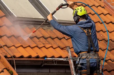 Démoussage et hydrofuge de toiture à Chiroubles
